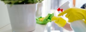 House Cleaning