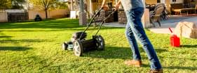 Backyard Cleaning
